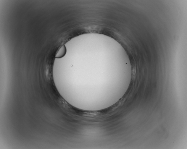 X0000114430671200910161033