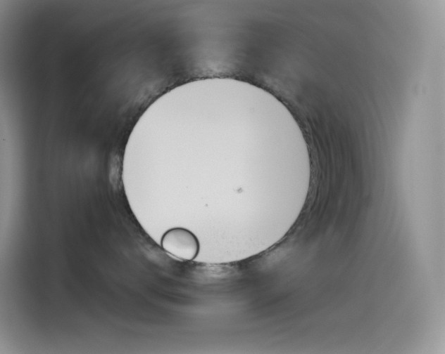 X0000114430672200910161033
