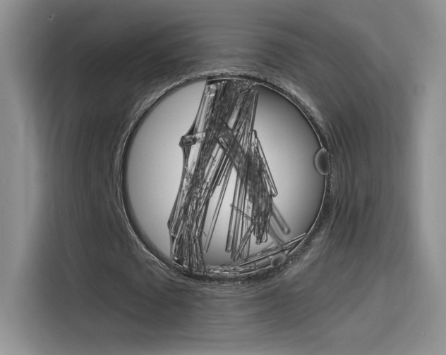 X0000114430673200910161032
