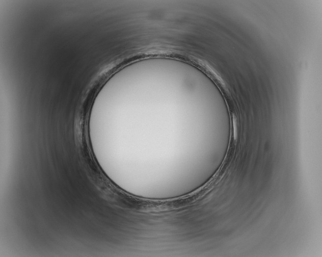 X0000114430675200910161032