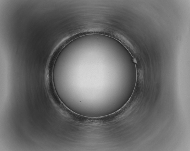 X0000114430676200910161032