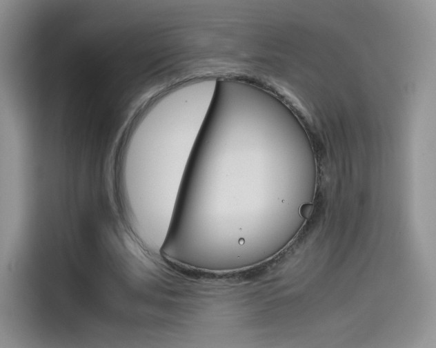 X0000114430679200910161032