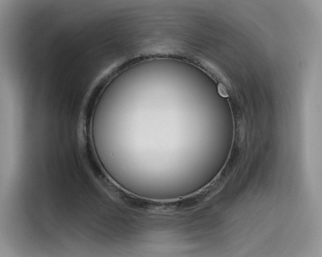 X0000114430680200910161032
