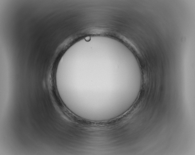 X0000114430682200910161032
