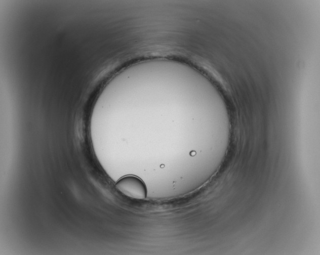 X0000114430683200910161032