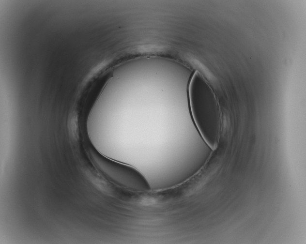X0000114430684200910161032