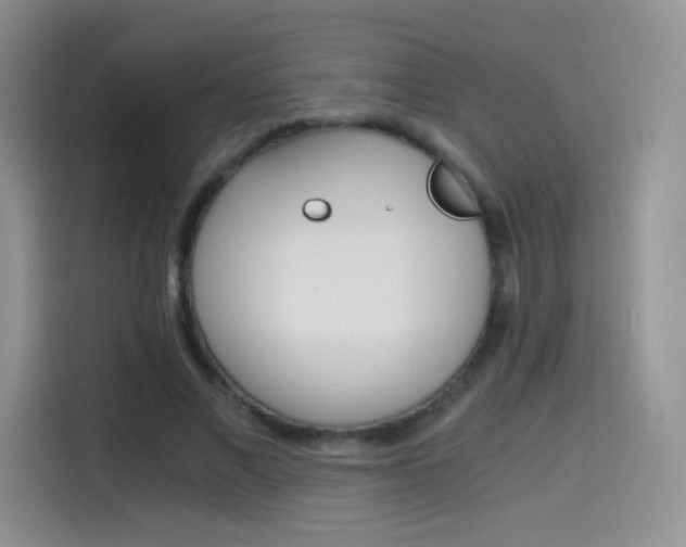X0000114430685200910161032