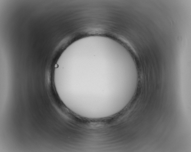 X0000114430686200910161032