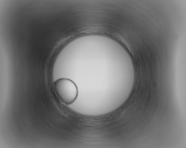 X0000114430688200910161032