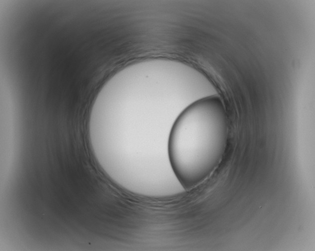 X0000114430689200910161032
