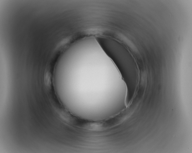 X0000114430692200910161032