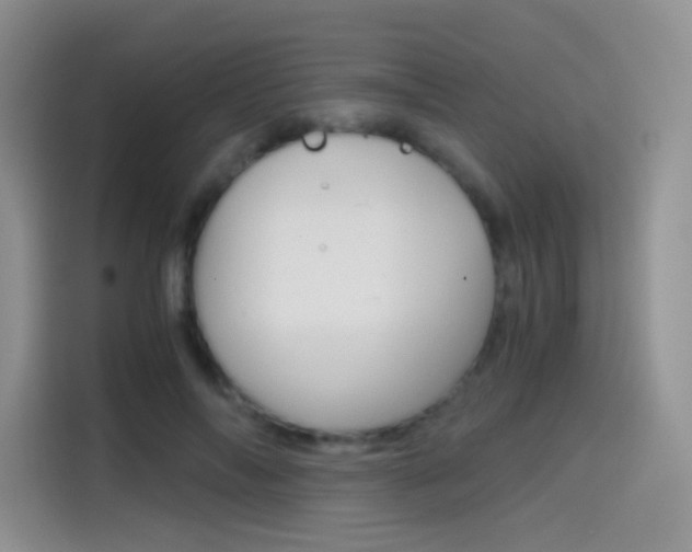 X0000114430694200910161032
