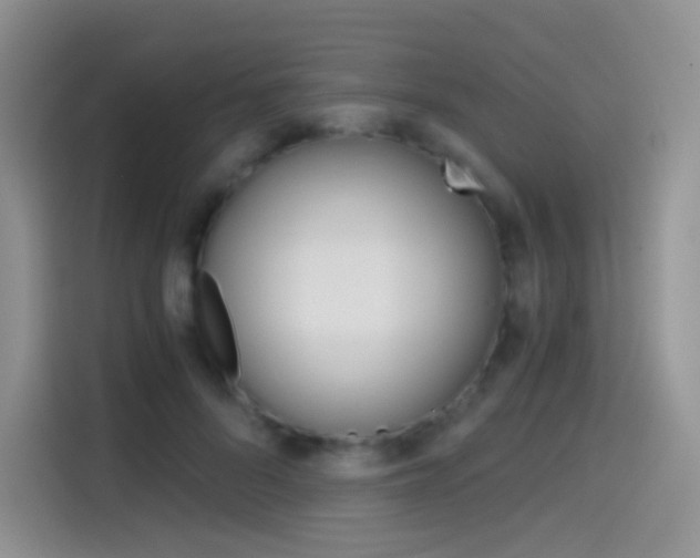 X0000114430696200910161032