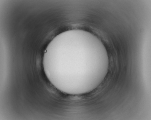 X0000114430698200910161032
