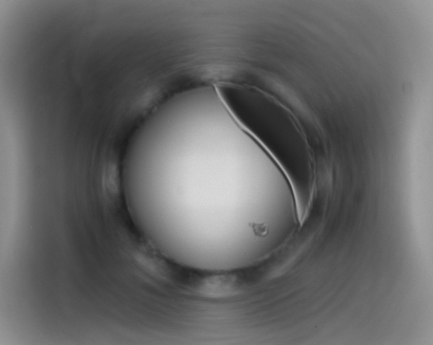 X0000114430700200910161032