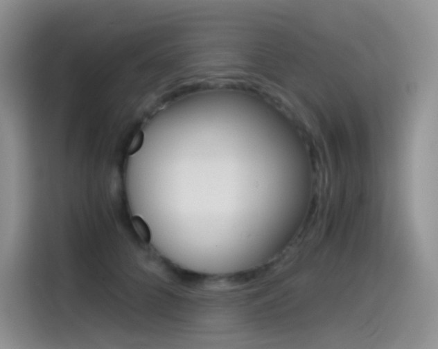 X0000114430704200910161032
