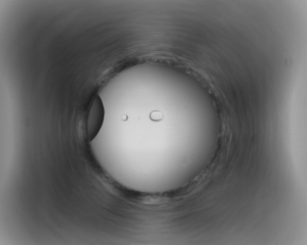 X0000114430708200910161032