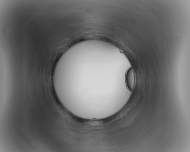X0000114430711200910161032