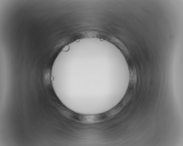 X0000114430717200910161032