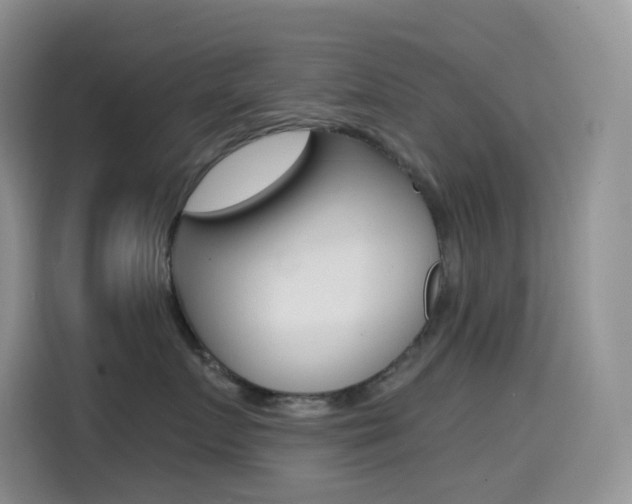 X0000114430719200910161032