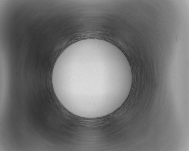 X0000114430720200910161032