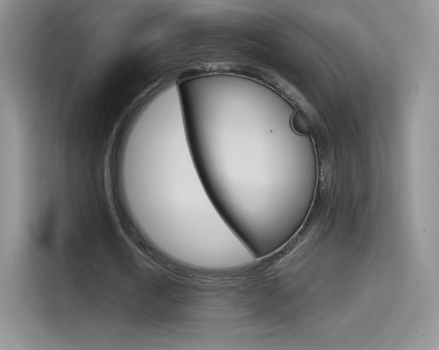 X0000114430722200910161031