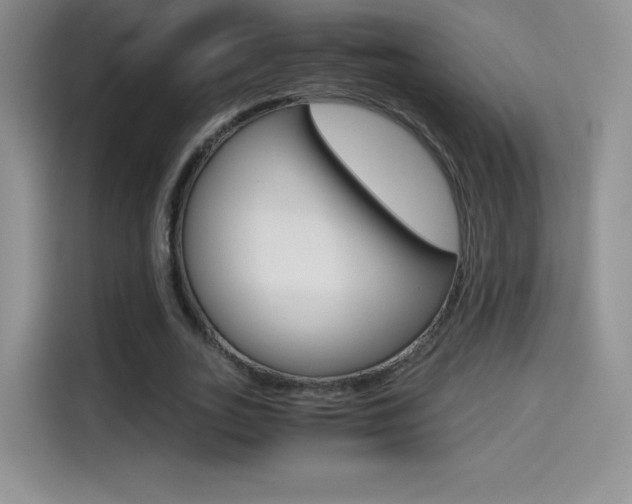 X0000114430727200910161031
