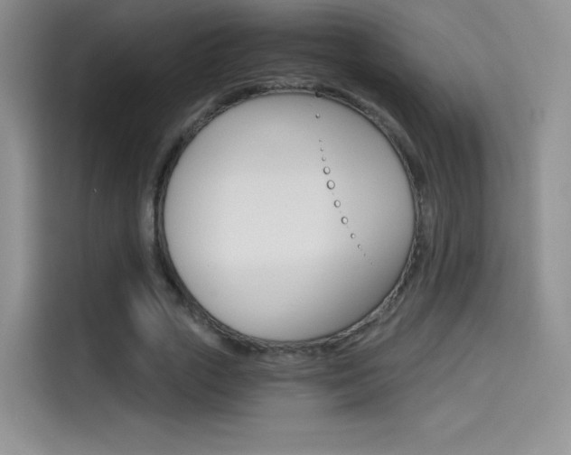 X0000114430729200910161031