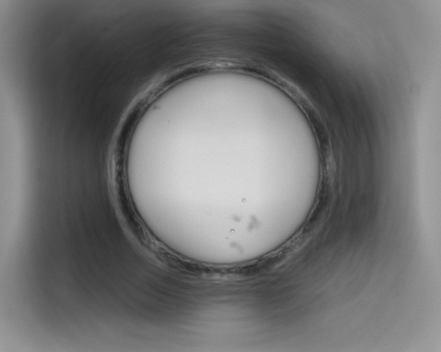 X0000114430730200910161031