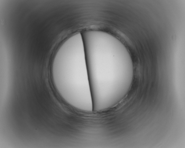 X0000114430738200910161031