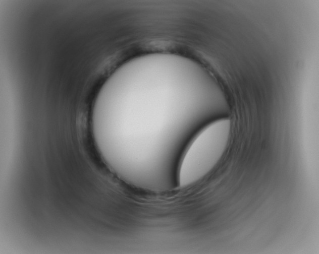 X0000114430739200910161031