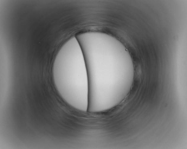 X0000114430746200910161032