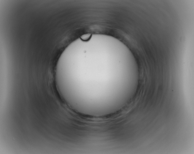 X0000114430751200910161032
