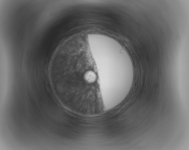 X0000114430759200910161032