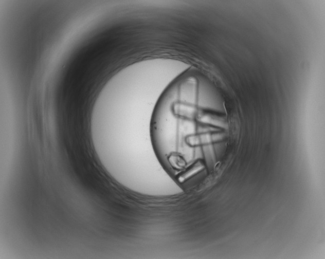 X0000114430762200910161032