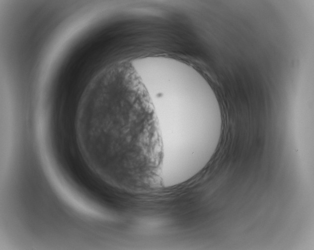 X0000114430763200910161032