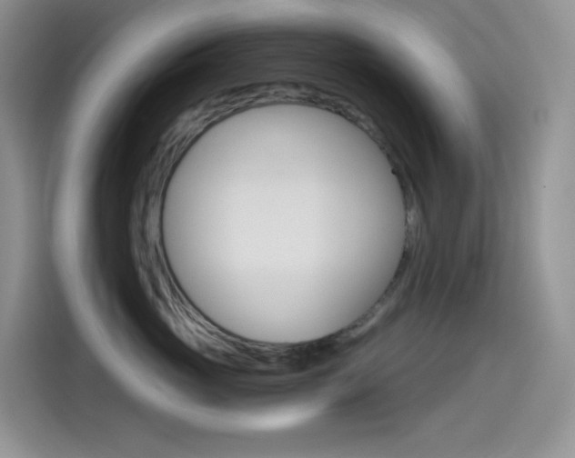 X0000114430765200910161032