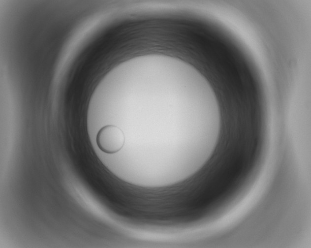 X0000114430766200910161032