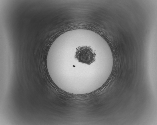 X0000114430769200910161031