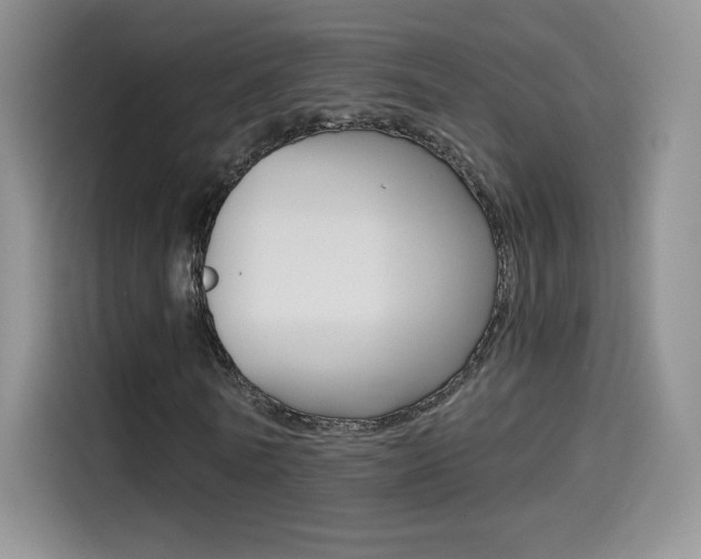 X0000114430770200910161031