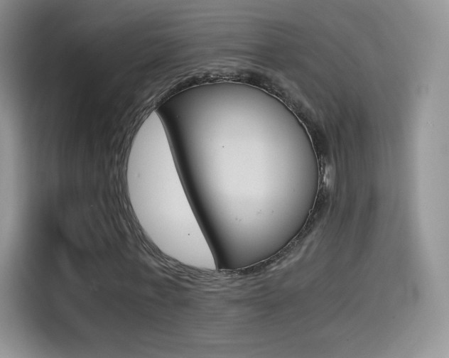 X0000114430771200910161031