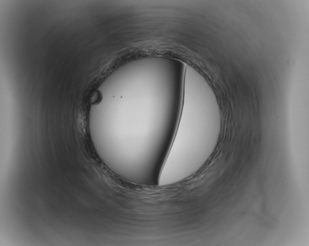 X0000114430772200910161031