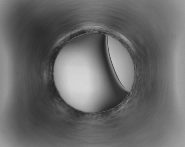 X0000114430775200910161031