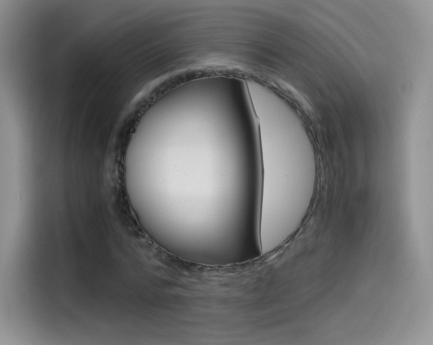 X0000114430776200910161031