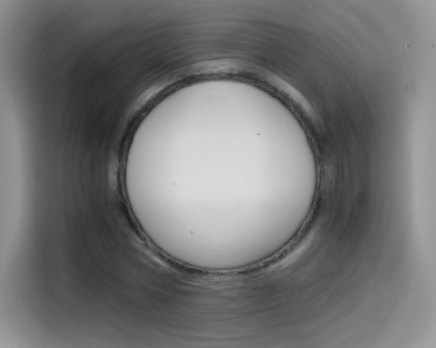 X0000114430778200910161031