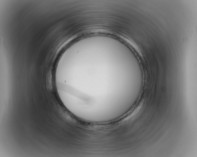 X0000114430782200910161031