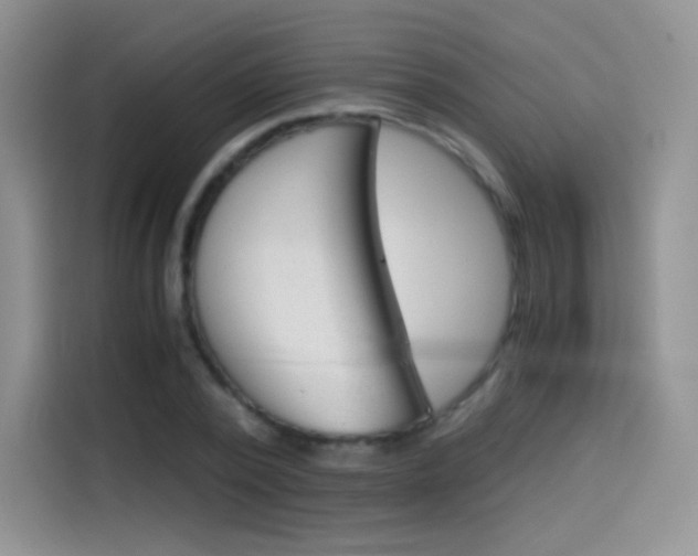 X0000114430784200910161031