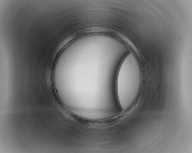 X0000114430786200910161031