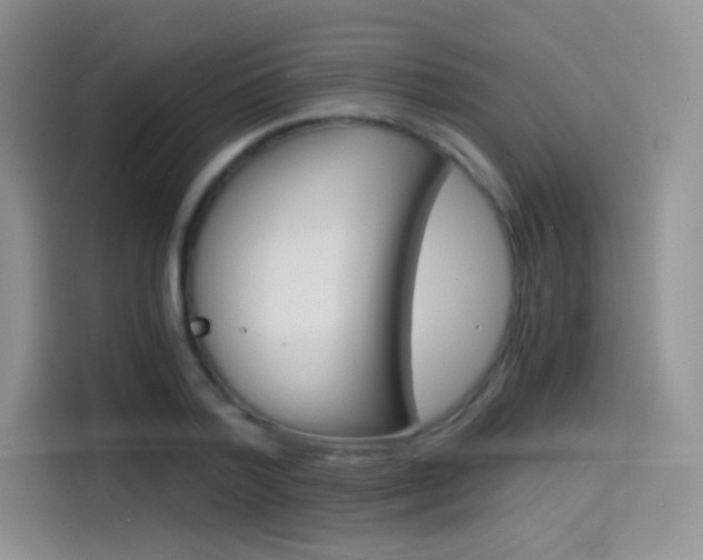 X0000114430788200910161031