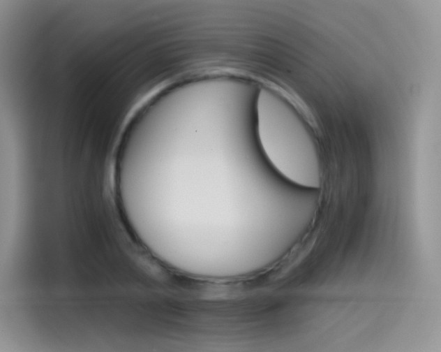 X0000114430790200910161031